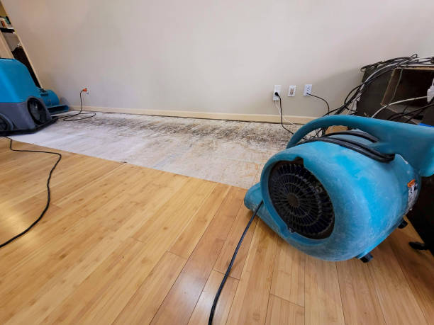 Professional Basement Flood Cleanup technician working in Peconic, NY